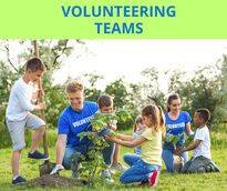 Volunteering teams in the European Solidarity Corps